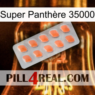 Super Panthère 35000 26